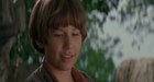 Jonathan Taylor Thomas : jonathan-taylor-thomas-1314034806.jpg