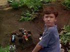 Joseph Mazzello : joseph_mazzello_1243796566.jpg