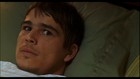 Josh Hartnett : joshhart_1223248211.jpg