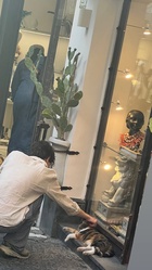 Julian Grey in General Pictures, Uploaded by: bluefox4000