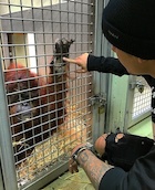 Justin Bieber : justin-bieber-1445711401.jpg