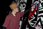 Justin Bieber : justin-bieber-1449663481.jpg