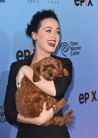 Katy Perry : katy-perry-1431715214.jpg