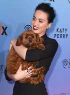 Katy Perry : katy-perry-1437574197.jpg