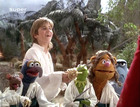 Kevin Bishop in Muppet Treasure Island, Uploaded by: 