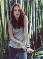 Kristen Stewart : kristen_stewart_1206565004.jpg