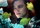 Leonardo DiCaprio : leo96b.jpg