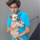 Levi Miller : levi-miller-1440963384.jpg