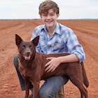 Levi Miller : levi-miller-1464901072.jpg