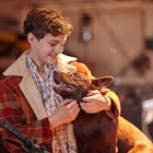 Levi Miller : levi-miller-1472259929.jpg