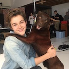 Levi Miller : levi-miller-1474656361.jpg