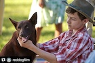 Levi Miller : levi-miller-1481908915.jpg