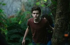 Levi Miller : levi-miller-1519410079.jpg