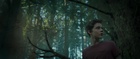 Levi Miller : levi-miller-1529614665.jpg