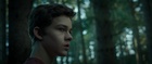 Levi Miller : levi-miller-1529614684.jpg