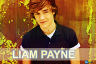 Liam Payne : liam-payne-1372449478.jpg