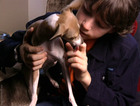 Liam Aiken : lai-gb_liam_17.jpg
