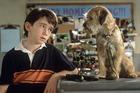 Liam Aiken : liam-aiken-1334000533.jpg