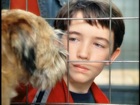 Liam Aiken : liam-aiken-1363294122.jpg