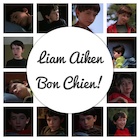 Liam Aiken : liam-aiken-1507431586.jpg