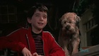 Liam Aiken : liam-aiken-1507431708.jpg