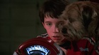 Liam Aiken : liam-aiken-1507431713.jpg