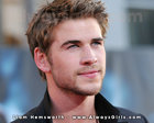 Liam Hemsworth : liam-hemsworth-1378967160.jpg