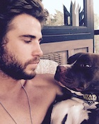 Liam Hemsworth : liam-hemsworth-1453266776.jpg