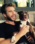 Liam Hemsworth : liam-hemsworth-1454449399.jpg