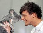 Louis Tomlinson : louis-tomlinson-1337032064.jpg