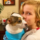 Lucas Royalty : lucas-royalty-1610963503.jpg