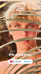 Lucas Royalty : lucas-royalty-1719258311.jpg