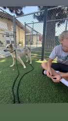 Lucas Royalty : lucas-royalty-1720243265.jpg