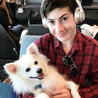 Mason Cook : mason-cook-1479938041.jpg