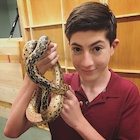 Mason Cook : mason-cook-1512079151.jpg