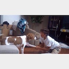 Matthew Espinosa : matthew-espinosa-1446651001.jpg