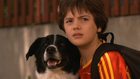 Matthew Knight : matthewknight_1261172958.jpg