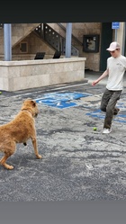 Merrick Hanna in General Pictures, Uploaded by: bluefox4000