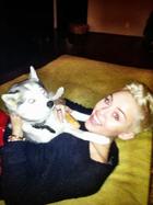 Miley Cyrus : miley-cyrus-1355686881.jpg