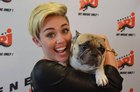 Miley Cyrus : miley-cyrus-1380738763.jpg