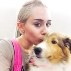 Miley Cyrus : miley-cyrus-1407985502.jpg