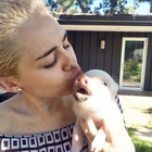 Miley Cyrus : miley-cyrus-1409329637.jpg