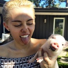 Miley Cyrus : miley-cyrus-1409329642.jpg