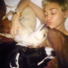 Miley Cyrus : miley-cyrus-1423278002.jpg