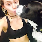 Miley Cyrus : miley-cyrus-1440530235.jpg