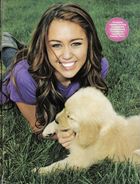 Miley Cyrus : miley_cyrus_1215202884.jpg