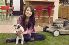 Miranda Cosgrove : miranda-cosgrove-1336862375.jpg