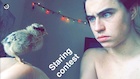 Nash Grier : nash-grier-1456526161.jpg