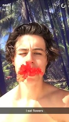 Nash Grier : nash-grier-1488440162.jpg