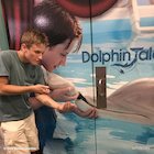 Nathan Gamble : nathan-gamble-1468456921.jpg